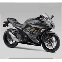 ราคา การปอกการเปลี่ยนแปลงนินจา250 FI นินจา Fi 250กราวิส (19101563313)