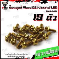 ราคา น็อตชุดสีเวฟ125i ปลาวาฬ LED 1ชุด 19 น๊อตชุดสีWave125i ปลาวาฬLED น็อตเฟรมเวฟ125i น็อตเวฟ125i ปลาวาฬ LED น็อตสแตนเลส (17455074203)