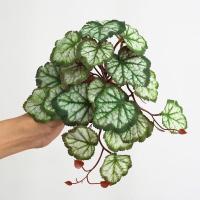 ราคา พร้อมส่ง ต้นไม้ปลอมสำหรับตกแต่งสวนต้นไม้ปลอมแขวนผนังลายนกยูงเต่าใบบีโกเนียบ้านระเบียงเถาดอกไม้สีเขียวกระถางหญ้า (19184334735)