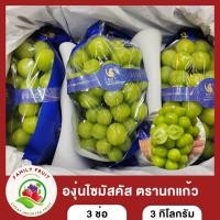 ราคา องุ่นไซมัสคัส Shinemuscat องุ่นไซมัสคัส ตรานกแก้ว 3 ช่อ หวาน กรอบ ลูกใหญ่ ส่งฟรี (19223973523)
