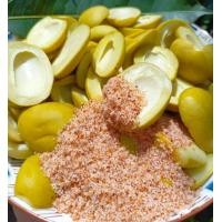 ราคา มะม่วงเบา ดองเกลือ 300กรัม มะม่วงเบาใต้ดองเกลือ สดใหม่ อร่อย (20787435968)