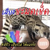 ราคา เสียงต่อชะมดเช็ด เมมเสียงชะมดเช็ด แฟลชไดร์ฟเสียงชะมดเช็ด เสียงชะมดเช็ด มีเก็บเงินปลายทาง (7451746289)