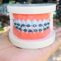 ราคา ขนาดมาตฐานโมเดลฟ้าปลอม (20774431355)