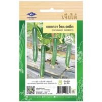 ราคา เมล็ดพันธุ์ แตงกวาญี่ปุ่น โรเบอร์โต้ ตราเจียไต๋ (20682624093)