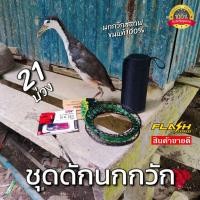 ราคา ชุดดักนกวัก นกกวักสตาฟ ชุดครืนเเขวน21 ยาว 2เมตร พร้อมนกกวักสตาฟ ลำโพง และUSBเสียงนกกวัก (19510676801)