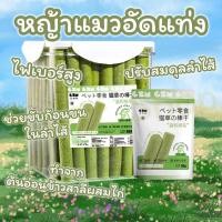 ราคา หญ้าแมวอัดแท่ง ช่วยขัดฟัน กำจัดก้อนขน หญ้าแมวฟรีซดรายแบบแท่ง ต้นอ่อนข้าวสาลี ขนมแมว หญ้าอัดแท่ง (20586275030)