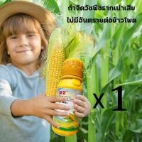 ราคา กำจัดวัชพืชเท่านั้น 100 ไม่ทำลายต้นกล้า JYฆ่าหญ้าข้าวโพด ยาชุดข้าวโพด 100mlของเหลวเข้มข้น กำจัดวัชพืชอย่างรวดเร็ว ยาฆ่าหญ้าข้าวโพด กำจัดวัชพืชทุกชนิด สารกำจัดวัชพืช ยาฆ่าหญ้าในข้าวโพด ยาฉีดหญ้าข้าวโพด