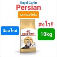 ราคา Royal Canin Persian Adult 10kg Exp 12 24 Royal Canin Kitten Persian 10kg Exp 05 24 แมวโต ลูกแมว เปอร์เซีย ถุง 10 กก (16495440153)