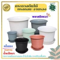 ราคา กระถางต้นไม้ กระถางพลาสติก กระถางมินิมอล แต่งบ้านแต่งคอนโด มีหลายสี หลายขนาด กระถางญาญ่า (20387874310)