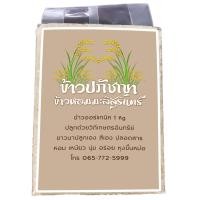 ราคา ข้าวหอมมะลิสุรินทร์ ข้าวใหม่ต้นฤดูกาล ข้าวหอมมะลิ กข 105 สุรินทร์แท้ บรรจุ 1 กิโลกรัม ซีลสูญญากาศ (17237575481)