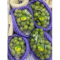 ราคา องุ่น องุ่นไซมัสคัส องุ่นไซมัส ตะกร้าสีขาว เนื้อเยลลี่ นุ่มละมุนลิ้น สด ใหม่ 3 4ช่อใหญ่ องุ่นนำเข้า องุ่นเขียว องุ่นสด (19575774391)