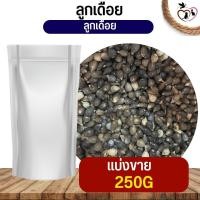 ราคา ลูกเดือย Thai millet อาหารนก กระต่าย หนู กระต่าย กระรอก ชูก้า และสัตว์ฟันแทะ แบ่งขาย 250G 500G 1KG (19768534734)