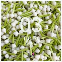 ราคา พุดดิน ดอกพุดดิน พุดดินปั้นมือ ดอกพุดเสมือนจริง พุดดินร้อยตาข่าย Clay Gardenia มีรูร้อยเข็ม 50 ดอก 49 บาท ส่งไว งานปั้น Hand Made (9742102732)