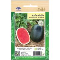 ราคา เมล็ดพันธุ์ แตงโม ทัมอัพ ตราเจียไต๋ (20682669760)