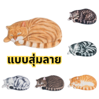 ราคา พรมดักฝุ่นแมว พรมเช็ดเท้า พรมเช็ดเท้ารูปแมว พรมแมว พรม พรมเช็ดเท้าแมว พรม3dเช็ดเท้า ผ้าเช็ดเท้า พรมชักโครก พรมเช็ดเท้า3d bathmat (20164254792)