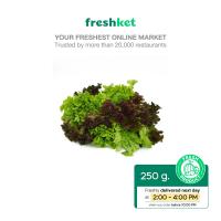 ราคา มิกซ์สลัด พร้อมทาน คัดตัดแต่งพิเศษ 250 กรัม แพ็ค (20715538879)