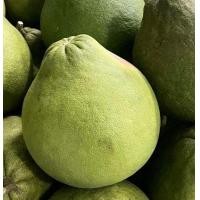 ราคา ส้มโอทับทิมสยาม อร่อย ราคาถูก (20729115990)