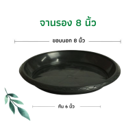ราคา จานรองกระถาง ถาดรองกระถาง จานรองกระถางต้นไม้ ถาดรองกระถางต้นไม้ จานรองพลาสติก จานรองกระถางพลาสติก 6นิ้ว 8นิ้ว 10นิ้ว 12นิ้ว 15นิ้ว 17นิ้ว (11816169502)
