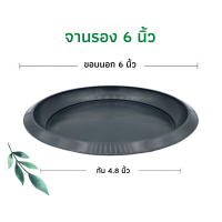 ราคา จานรองกระถาง ถาดรองกระถาง จานรองกระถางต้นไม้ ถาดรองกระถางต้นไม้ จานรองพลาสติก จานรองกระถางพลาสติก 6นิ้ว 8นิ้ว 10นิ้ว 12นิ้ว 15นิ้ว 17นิ้ว (12187838739)