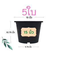 ราคา กระถางต้นไม้ 15 นิ้ว 5 ใบ กระถางต้นไม้พลาสติก กระถาง กระถางแคตตัส กระถางพลาสติก สีดำ สีขาว ราคาส่ง (12080804815)