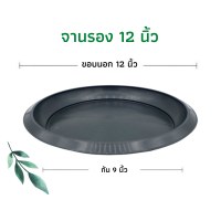 ราคา จานรองกระถาง ถาดรองกระถาง จานรองกระถางต้นไม้ ถาดรองกระถางต้นไม้ จานรองพลาสติก จานรองกระถางพลาสติก 6นิ้ว 8นิ้ว 10นิ้ว 12นิ้ว 15นิ้ว 17นิ้ว (12102801312)