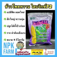 ราคา ข้าวโพดหวาน ไฮบริกซ์72 หมดอายุ 02 2567 ขนาด 1 กิโลกรัม ข้าวโพด แปซิฟิค ลอตใหม่ ฝักใหญ่ หวาน นุ่ม เมล็ดกว้าง อวบ แน่น ราก และลำต้นแข็งแรง (12197801958)