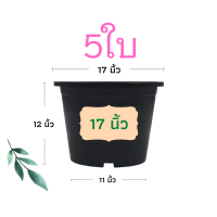 ราคา กระถางต้นไม้ 17 นิ้ว 5 ใบ กระถางต้นไม้พลาสติก กระถาง กระถางแคตตัส กระถางพลาสติก สีดำ สีขาว ราคาส่ง (12080886579)