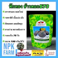 ราคา ฟักทอง ข้าวตอก 573 หมดอายุ 21 07 2568 ขนาด 100 กรัม ลอตใหม่ ศรแดง งอกดี ลูกผสม รสชาติดี เนื้อแน่น เหนียว มัน ขายง่าย 1 กระป๋องปลูกได้ 3 ไร่ (7578736736)