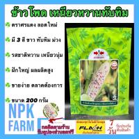 ราคา ข้าวโพด เหนียวหวานทับทิม ขนาด 200 กรัม ข้าวโพดหวาน ศรแดง หมดอายุ08 2567 ลอตใหม่ งอกดี ฝักมี 3 สี ขาว ทับทิม ม่วง รสชาติหวาน เหนียว นุ่ม อร่อย (15715006674)