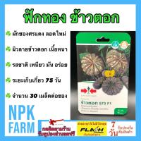 ราคา ผักซอง ศรแดง ฟักทอง ข้าวตอก จำนวน 25 เมล็ดต่อซอง เมล็ดพันธุ์ ลอตใหม่ ฟักทอง ลายข้าวตอก เนื้อผลหนา เนื้อเหนียว รสชาติมัน ติดผลง่าย ติดผลด (11140318704)