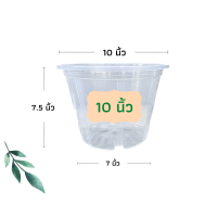 ราคา กระถางใส กระถางต้นไม้ กระถางส่องราก กระถางพลาสติก กระถางต้นไม้พลาสติก กระถางแคตตัส กระถาง 6 นิ้ว 8 นิ้ว 10 นิ้ว 12 นิ้ว 15 นิ้ว 17 นิ้ว (19321473562)