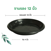 ราคา กระถาง air pot กระถางเร่งราก กระถางแอร์พอต กระถางมีรู กระถางปลูกกัญ กระถางต้นไม้เพิ่มราก (16211072226)