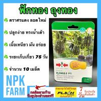 ราคา ผักซอง ศรแดง ฟักทอง ถุงทอง บัตเตอร์นัท บัทเตอร์นัท จำนวน 10 เมล็ด ซอง เมล็ดพันธุ์ ลอตใหม่ ทรงน้ำเต้า เนื้อสีเหลืองส้ม รสชาติเหนียว มัน (11377281707)