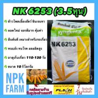 ราคา ข้าวโพดเลี้ยงสัตว์ เอ็นเค NK 6253 เบอร์2 3 5 หุน ขนาด 10 กิโลกรัม ซินเจนทา หมดอายุ 12 2567 เมล็ดกลมกลาง ลอตใหม่ งอกดี ทนแล้ง ทนโรค ผลผลิตสูง (14596351802)