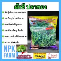ราคา ผักชี ปลาทอง หมดอายุ03 2568 พันธุ์พูนผล 300g เมล็ดพันธุ์ ลอตใหม่ งอกดี ต้นอวบ ก้านใหญ่ ใบใหญ่ ออกดอกช้า รากแขนงยาว ใหญ่ ทนฟ้าฝน ตลาดนิยม (7672808011)