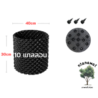 ราคา กระถาง air pot กระถางเร่งราก กระถางแอร์พอต กระถางมีรู กระถางปลูกกัญ กระถางต้นไม้เพิ่มราก (16211072221)