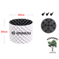 ราคา กระถาง air pot กระถางเร่งราก กระถางแอร์พอต กระถางมีรู กระถางปลูกกัญ กระถางต้นไม้เพิ่มราก (16211072225)