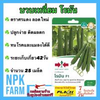 ราคา ผักซอง ศรแดง บวบเหลี่ยม โรมัน จำนวน 25 เมล็ด ซอง เมล็ดพันธุ์ ลอตใหม่ ปลูกง่าย ต้นแข็งแรง ติดผลดก ทนโรคและแมลงได้ดี ระยะเก็บ 42 วัน (13271241148)