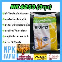 ราคา ข้าวโพดเลี้ยงสัตว์ เอ็นเค NK 6253 เบอร์3 3 หุน ขนาด 10 กิโลกรัม หมดอายุ 01 2568 ซินเจนทา เมล็ดกลมเล็ก ลอตใหม่ งอกดี ทนแล้ง ทนโรค ผลผลิตสูงมาก (14596864391)