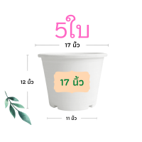 ราคา กระถางต้นไม้ 17 นิ้ว 5 ใบ กระถางต้นไม้พลาสติก กระถาง กระถางแคตตัส กระถางพลาสติก สีดำ สีขาว ราคาส่ง (13395079058)