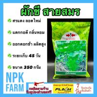 ราคา ผักชี สายสมร ขนาด 350 กรัม เมล็ดพันธุ์ ศรแดง ลอตใหม่ งอกดี กอใหญ่ กลิ่นหอม รากใหญ่ ออกดอกช้า ผลผลิตสูง ระยะเก็บเกี่ยว 45 55 วัน npkfarm (11573573213)