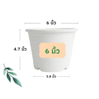 ราคา กระถางต้นไม้ สีขาว กระถางพลาสติก กระถางแคตตัส กระถางต้นไม้พลาสติก กระถางสีขาว 4 นิ้ว 5 นิ้ว 6 นิ้ว 8 นิ้ว 10 นิ้ว 12 นิ้ว 15 นิ้ว 17 นิ้ว (19035438107)