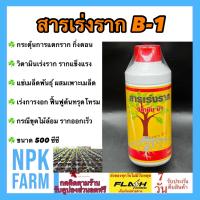 ราคา น้ำยาเร่งราก B1 500 มล ฮอร์โมนพืช บี1 กระตุ้นการแตกราก ปรับปรุงระบบรากให้แข็งแรง ผสมเพาะเมล็ด แช่กิ่งตอน ปักชำ ราก กิ่งตอน กิ่งปักชำ เร่งราก (7876094817)