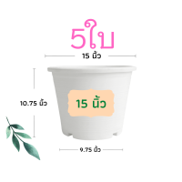ราคา กระถางต้นไม้ 15 นิ้ว 5 ใบ กระถางต้นไม้พลาสติก กระถาง กระถางแคตตัส กระถางพลาสติก สีดำ สีขาว ราคาส่ง (12841387851)