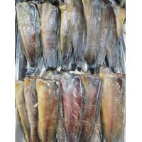 ราคา ปลาดุกร้า 1กิโลกรัม (17880124599)