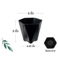 ราคา กระถางหกเหลี่ยม กระถางปลูกกระบองเพชร กระถางแคคตัส กระถางต้นไม้ กระถางพลาสติก (17009811454)
