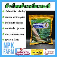 ราคา ข้าวโพดข้าวเหนียว สองสี 1 กิโลกรัม หมดอายุ01 02 2567 ข้าวโพดสองสี ขาว และม่วง แปซิฟิค ข้าวโพดหวาน ข้าวโพด ลูกผสม ฝักใหญ่ แข็งแรง ปลูกง่าย (7920389591)