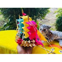 ราคา กระทงเปลือกข้าวโพดราคาถูก (20698013215)