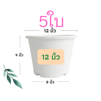 ราคา กระถางต้นไม้ 12 นิ้ว 5 ใบ กระถางต้นไม้พลาสติก กระถาง กระถางแคตตัส กระถางพลาสติก สีดำ สีขาว ราคาส่ง (12842001327)