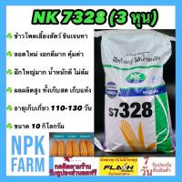 ราคา ข้าวโพดเลี้ยงสัตว์ เอ็นเค NK 7328 เบอร์3 3 หุน ขนาด 10 กิโลกรัม ซินเจนทา ข้าวโพดสัตว์ เมล็ดเล็ก ลอตใหม่ งอกดี ฝักใหญ่ ผลผลิตสูง ทนแล้ง (14597726751)